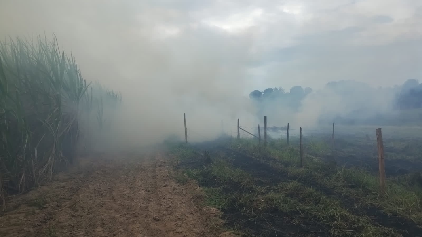 Guarda Ambiental controla três queimadas no final de semana Divulgação GAM 9