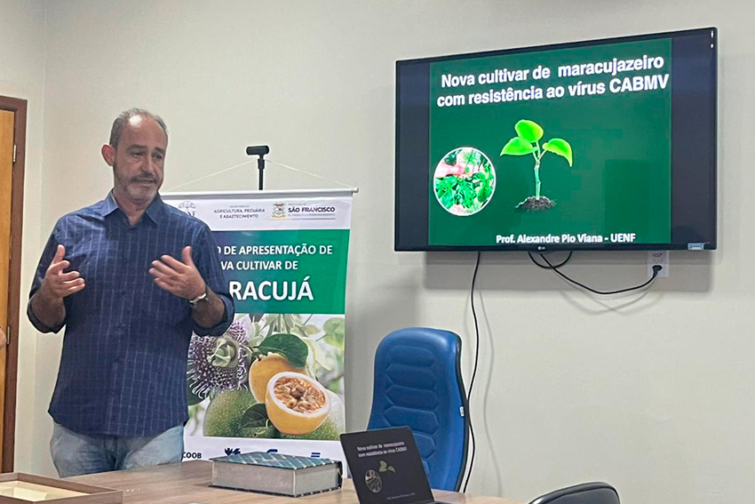 MARACUJÁ I