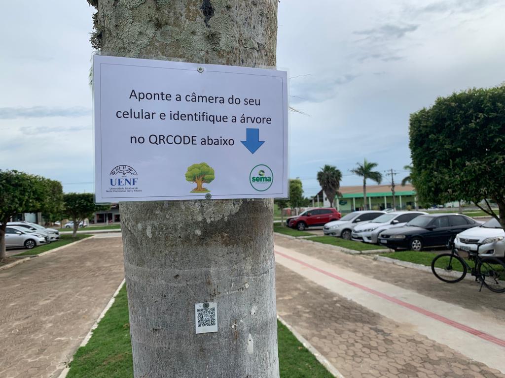 Projeto Árvores da Uenf Divulgação 1