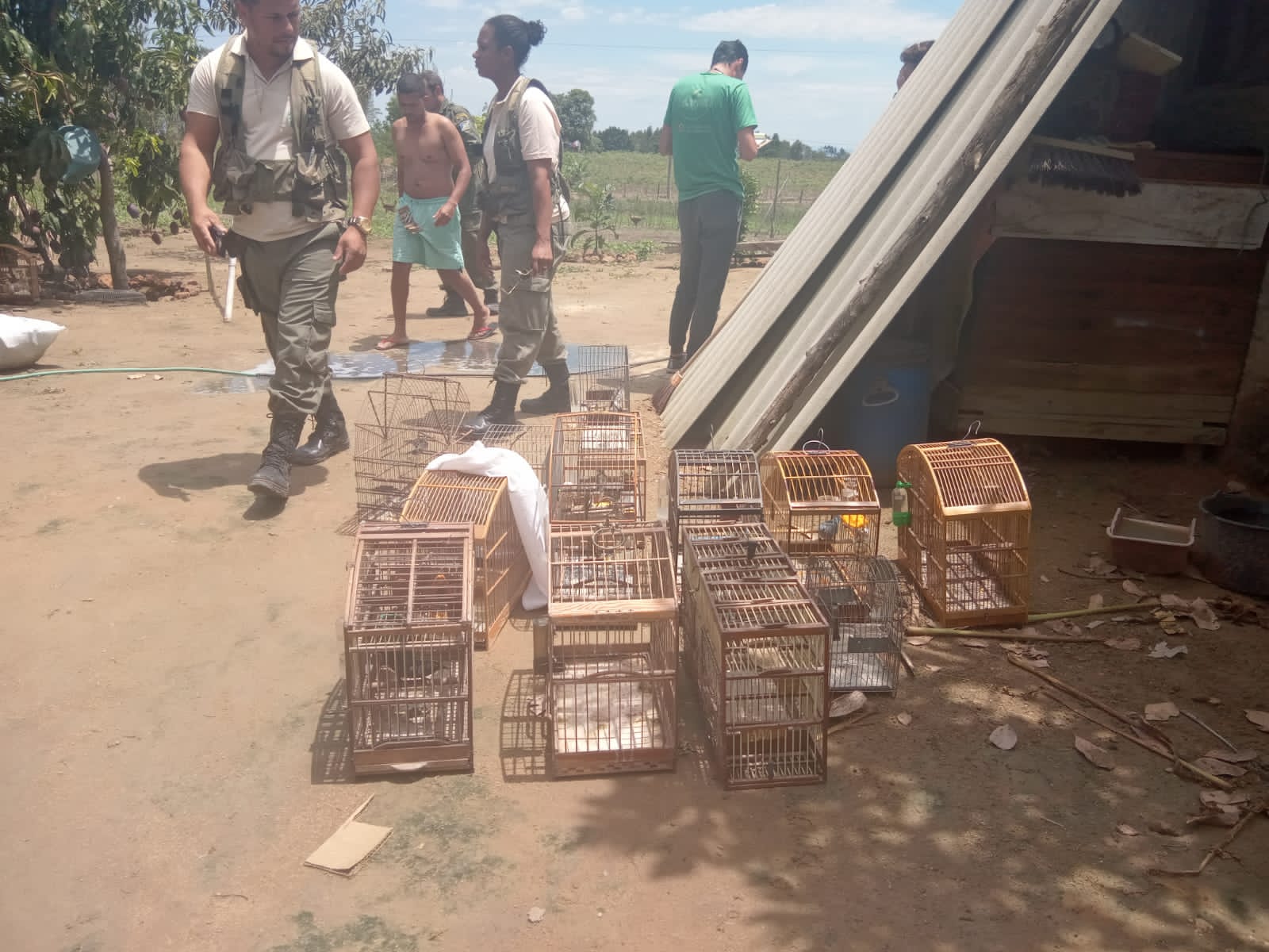 Resgate de Animais Divulgação 1