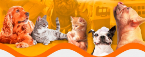 I PetFest neste sábado (27) com mutirão de castração e vacinação, além de outros serviços