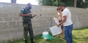 Sema resgata cobra muçurana em Gargaú
