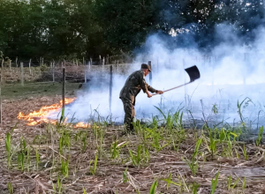 Guarda Ambiental resgata animais e controla queimadas no domingo (13)