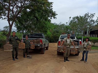 Operação conjunta da Guarda Ambiental de SFI e do Inea resgata 75 animais silvestres