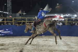 Rodeio profissional abre a arena da 40ª ExpoAgro com emoção e casa cheia