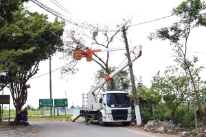 Secretaria de Obras segue com poda e retirada de árvores