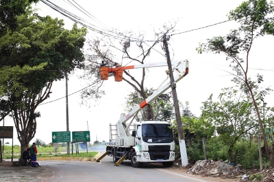 Secretaria de Obras segue com poda e retirada de árvores