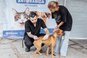 Mutirão de Vacinação Antirrábica é encerrado com ações em quatro localidades
