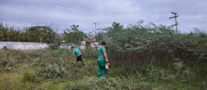 Ação conjunta limpa antigo curral municipal em Santa Clara