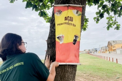 Secretaria de Meio Ambiente retira placas irregulares na praia de Guaxindiba
