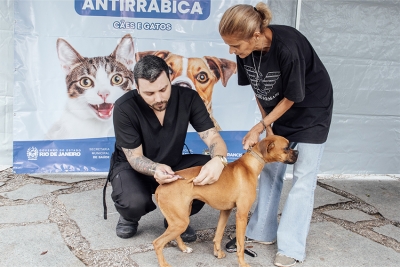 Seis localidades recebem Mutirão de Vacinação Antirrábica neste sábado (08)