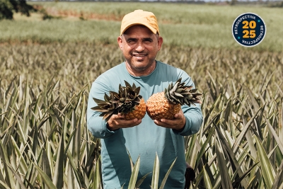 Identidade e valor: farinha de mandioca e abacaxi avançam para Indicação Geográfica